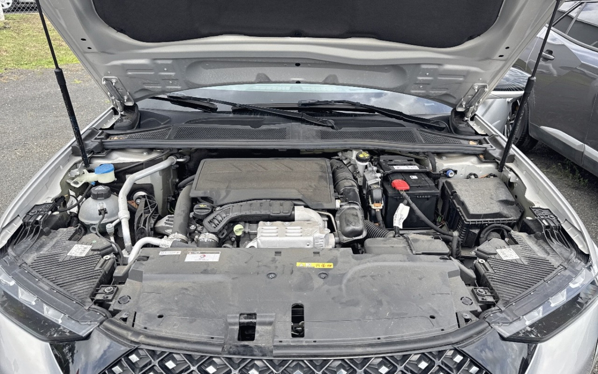 34a122ea-7300-4e7a-bcec-5591eaa995ba.jpg